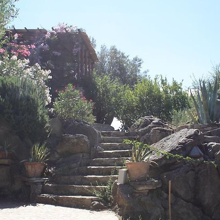 Rocca Del Vento Bed & Breakfast San Pantaleone Exterior photo