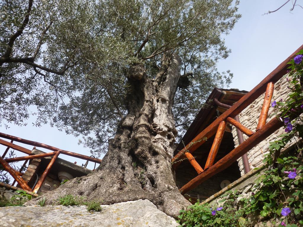 Rocca Del Vento Bed & Breakfast San Pantaleone Exterior photo