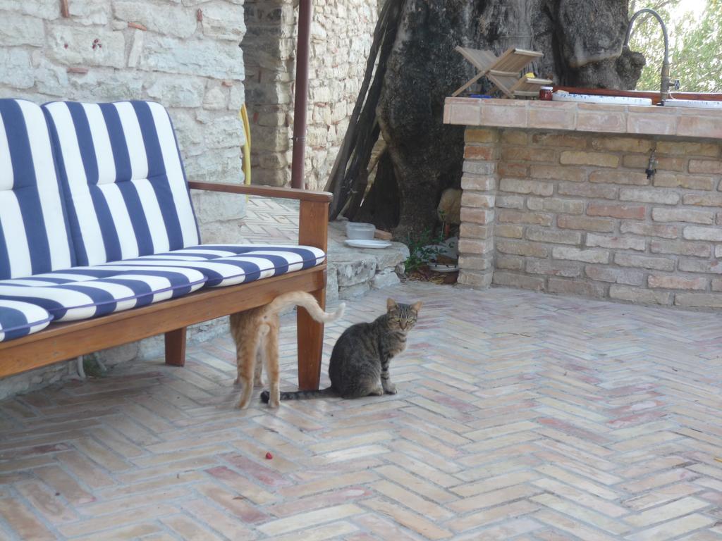 Rocca Del Vento Bed & Breakfast San Pantaleone Exterior photo