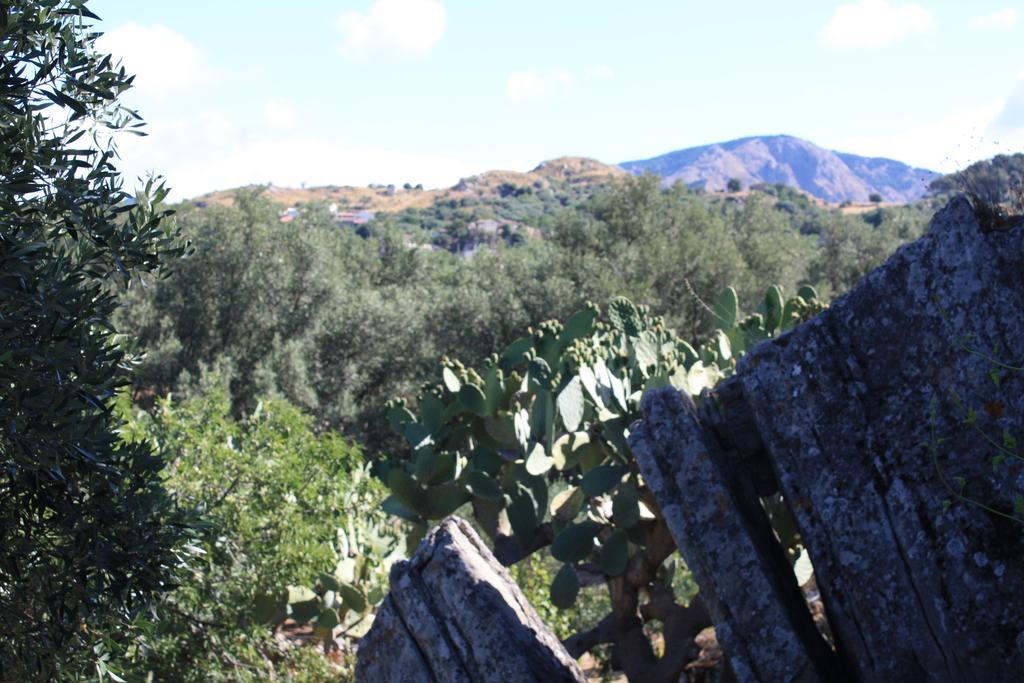 Rocca Del Vento Bed & Breakfast San Pantaleone Exterior photo